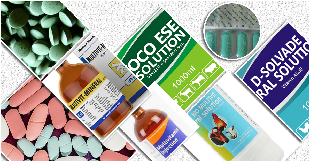 Vitamins, Minerals, Amino acids, Fatty Acids