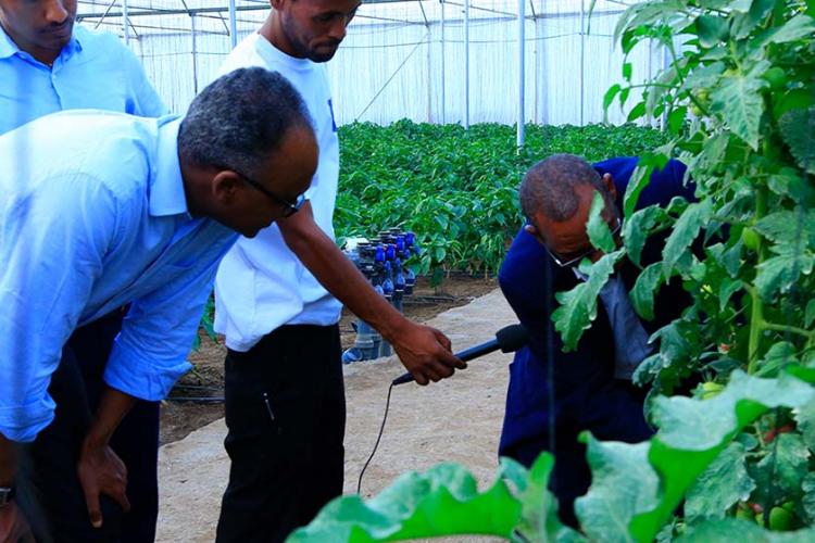 Farm Demonstration